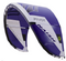 NAISH Q SERIES PIVOT FREERIDE KITE 2026